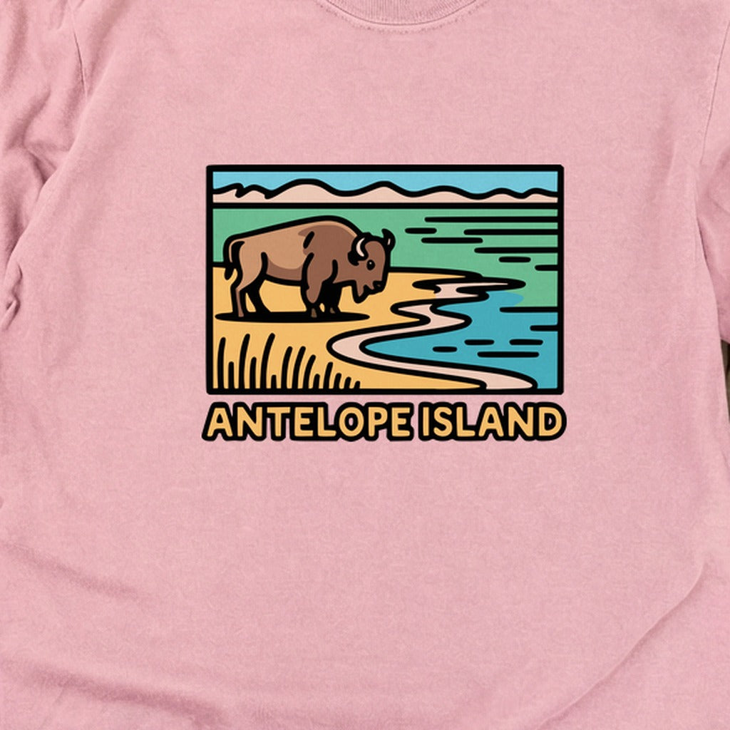 Antelope Island State Park Cotton Long Sleeve product image 8