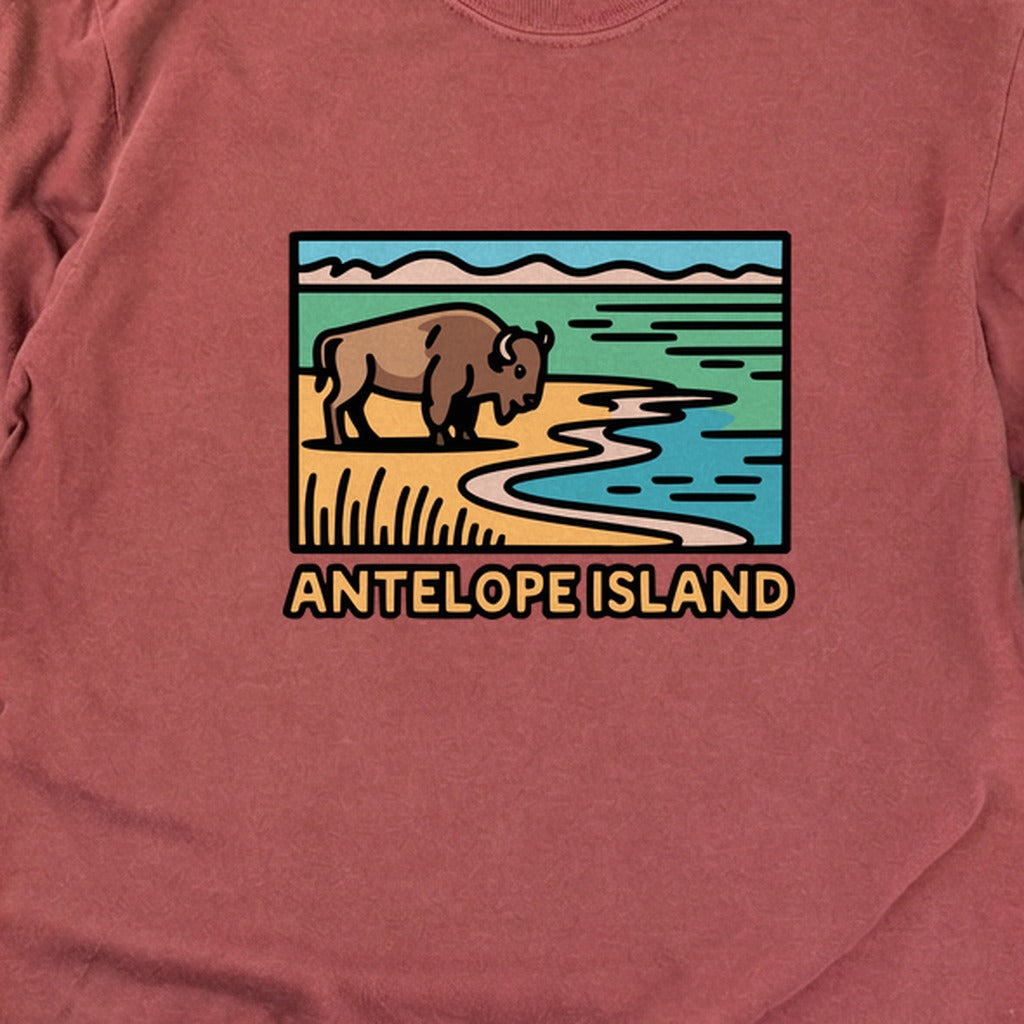 Antelope Island State Park Cotton Long Sleeve product image 16