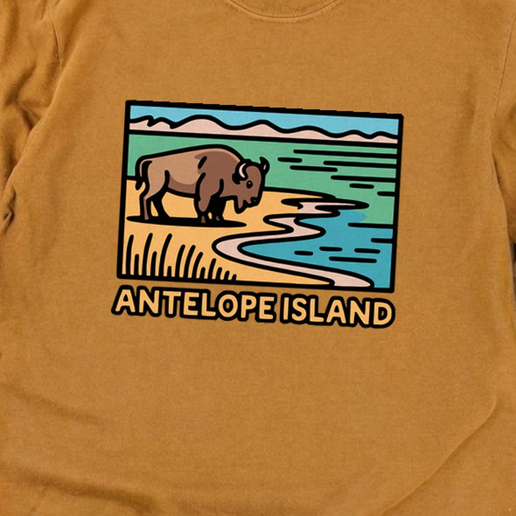 Antelope Island State Park Cotton Long Sleeve product image 24