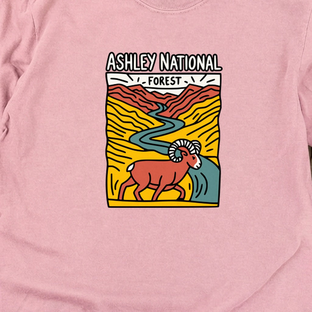 Ashley National Forest Cotton Long Sleeve product image 8