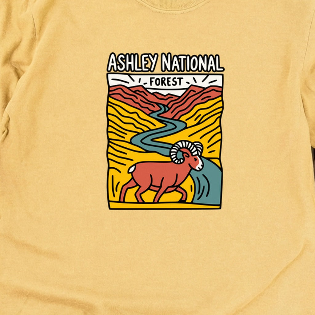 Ashley National Forest Cotton Long Sleeve product image 12