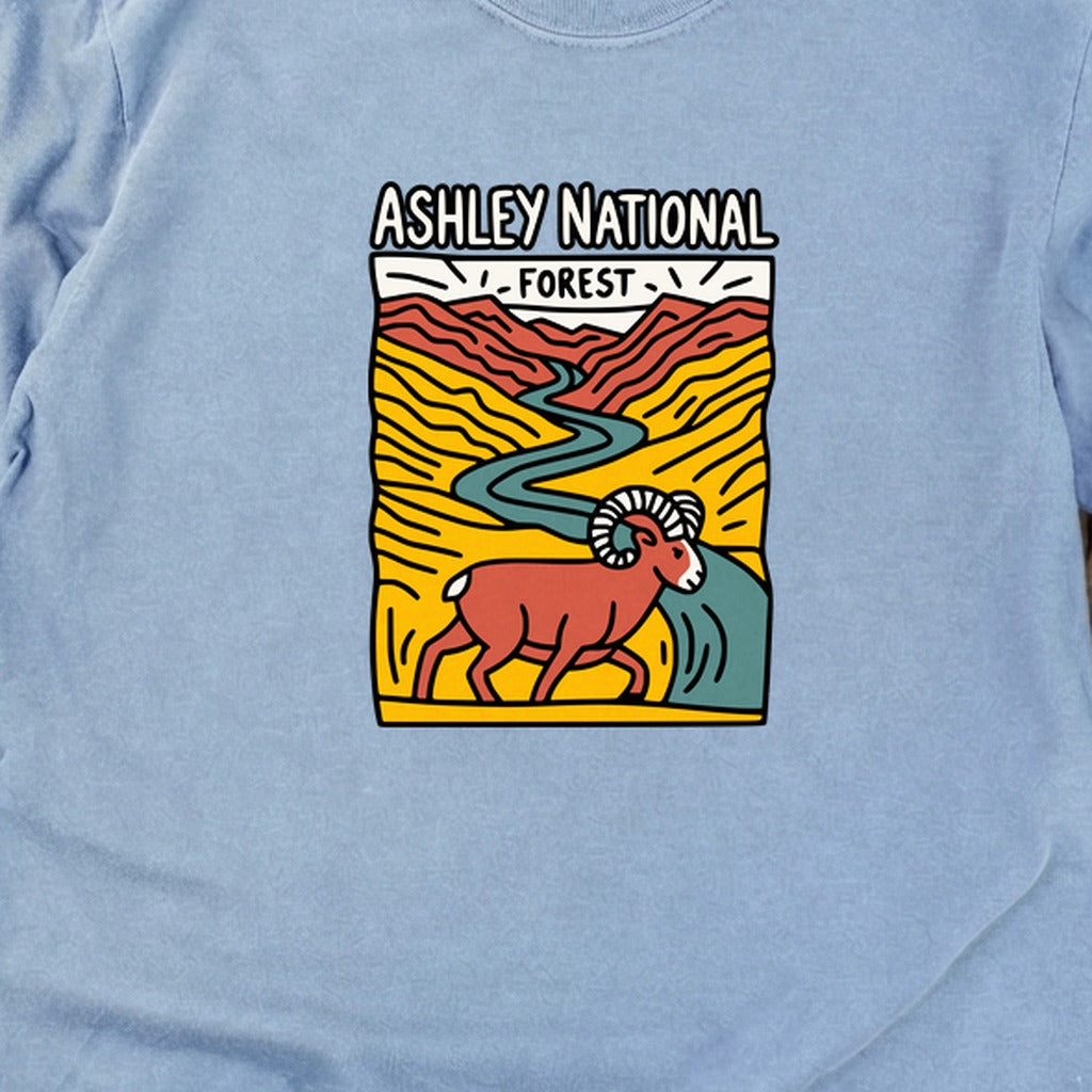 Ashley National Forest Cotton Long Sleeve product image 14