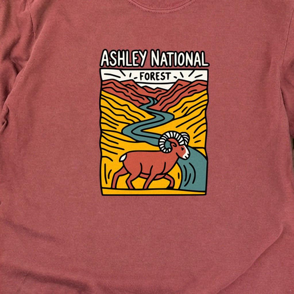 Ashley National Forest Cotton Long Sleeve product image 16