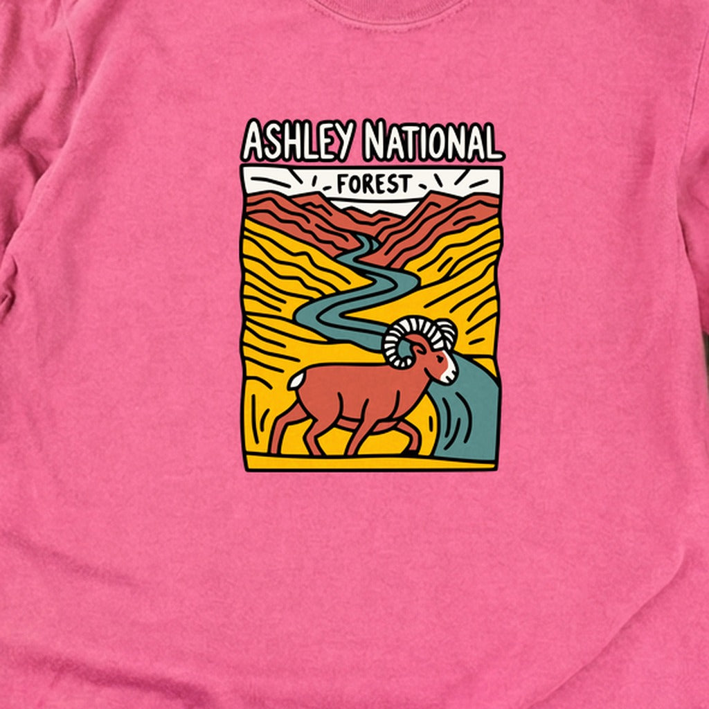 Ashley National Forest Cotton Long Sleeve product image 18
