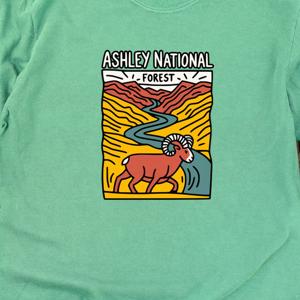 Ashley National Forest Cotton Long Sleeve product image 20