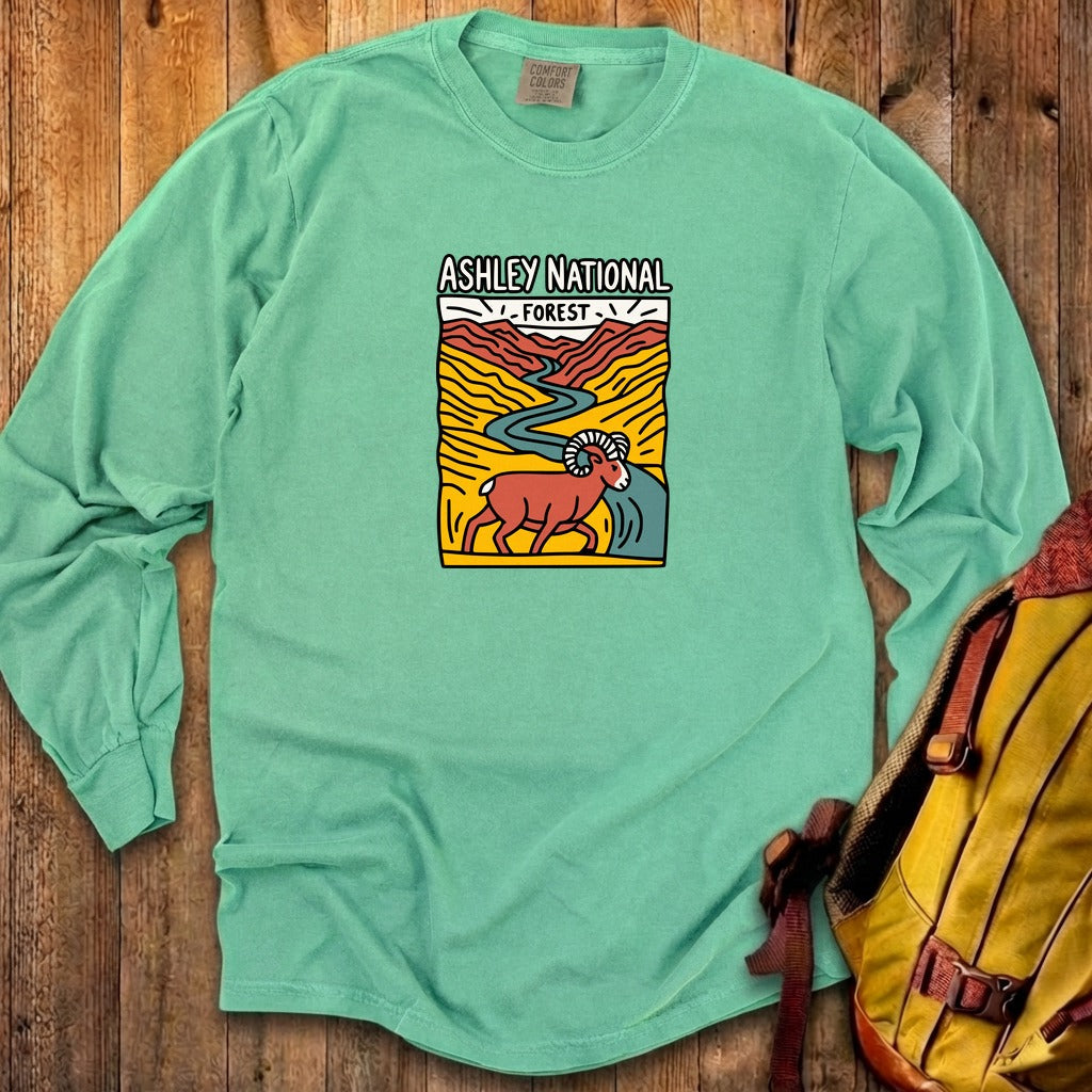 Ashley National Forest Cotton Long Sleeve product image 19