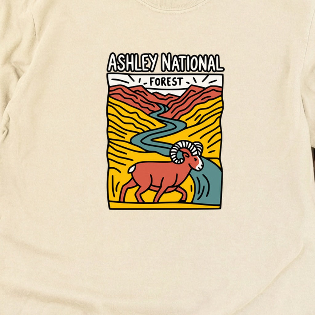 Ashley National Forest Cotton Long Sleeve product image 22