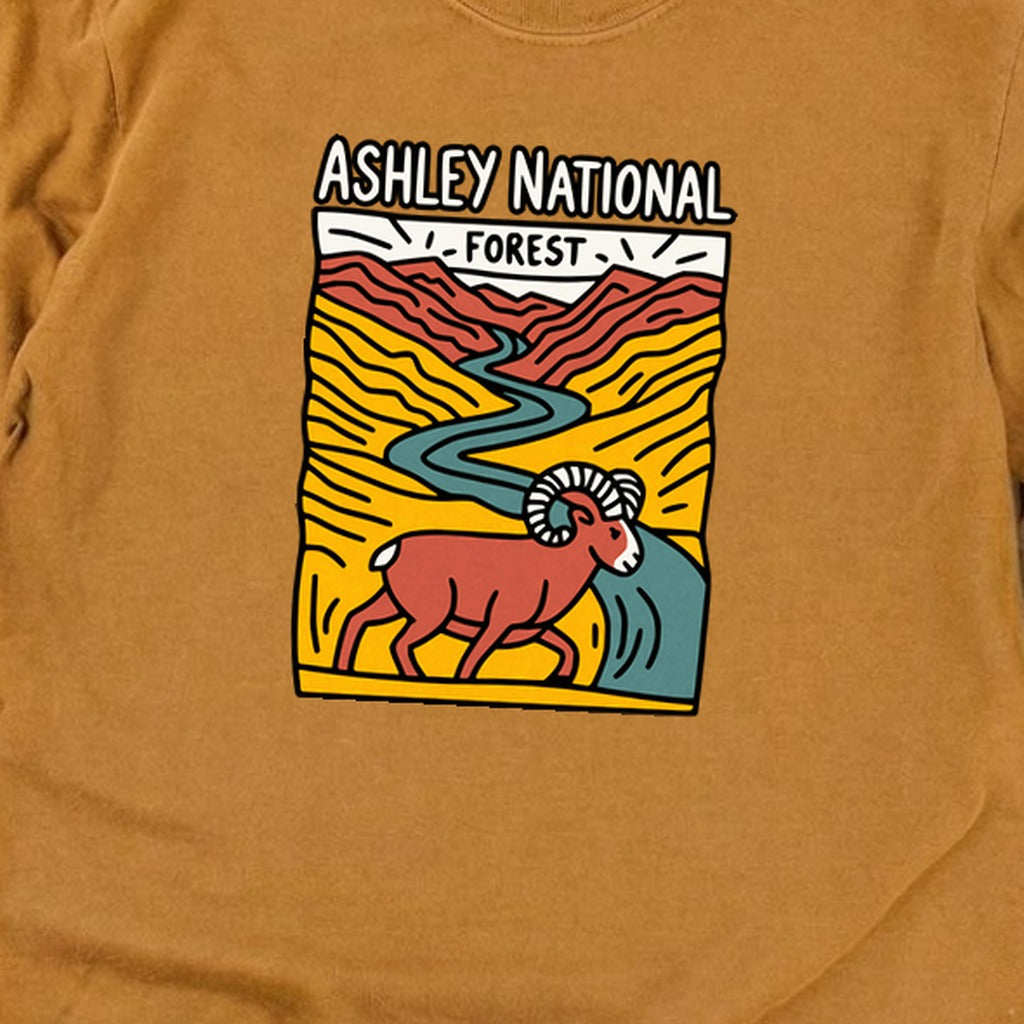 Ashley National Forest Cotton Long Sleeve product image 24