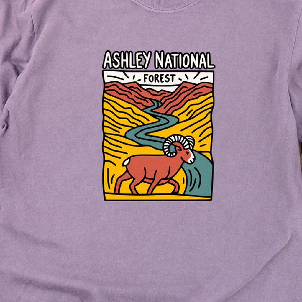 Ashley National Forest Cotton Long Sleeve product image 26