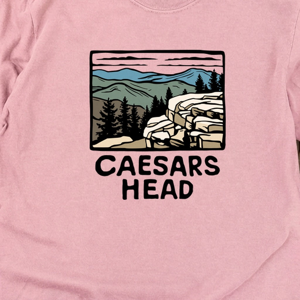 Caesars Head State Park Cotton Long Sleeve product image 8