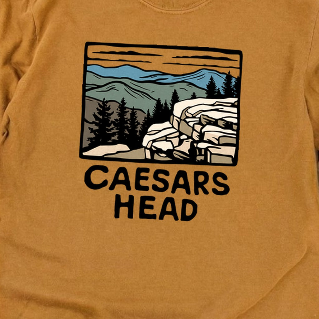 Caesars Head State Park Cotton Long Sleeve product image 24