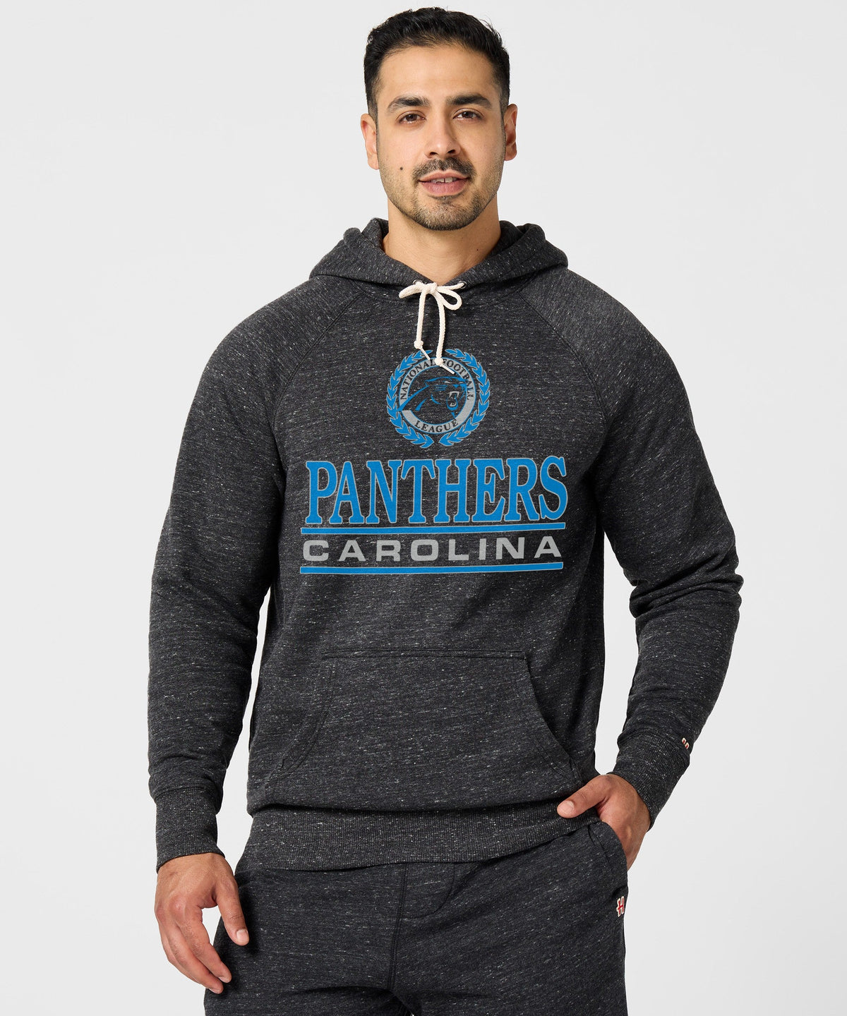 Carolina Panthers Crest Hoodie product image 3