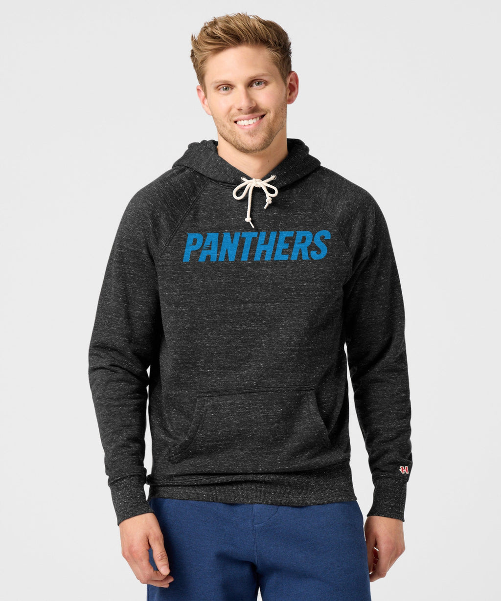 Carolina Panthers Wordmark '12 Hoodie product image 3