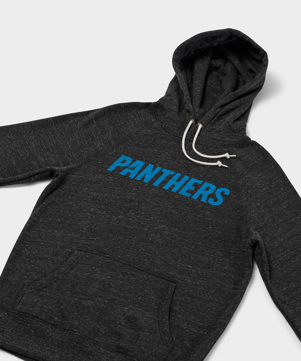 Carolina Panthers Wordmark '12 Hoodie product image 2