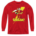 DC Shazam - L - S Youth product image 1