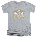 DC - Fly By Adult Slim Fit V Neck Cotton product image 1