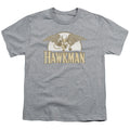 DC - Fly By Youth Short Sleeve product image 1