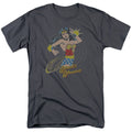 DC - Spinning Adult Regular Fit Short Sleeve product image 1