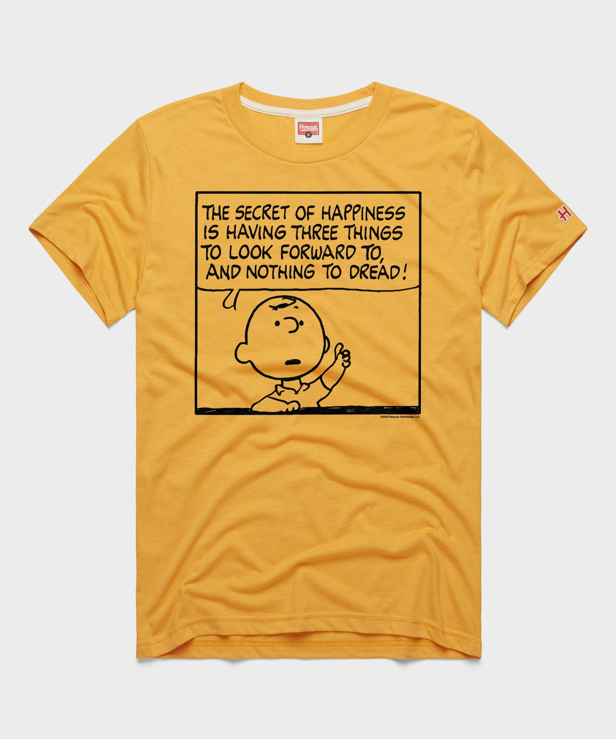 Peanuts Charlie Brown Secret Of Happiness product image 1