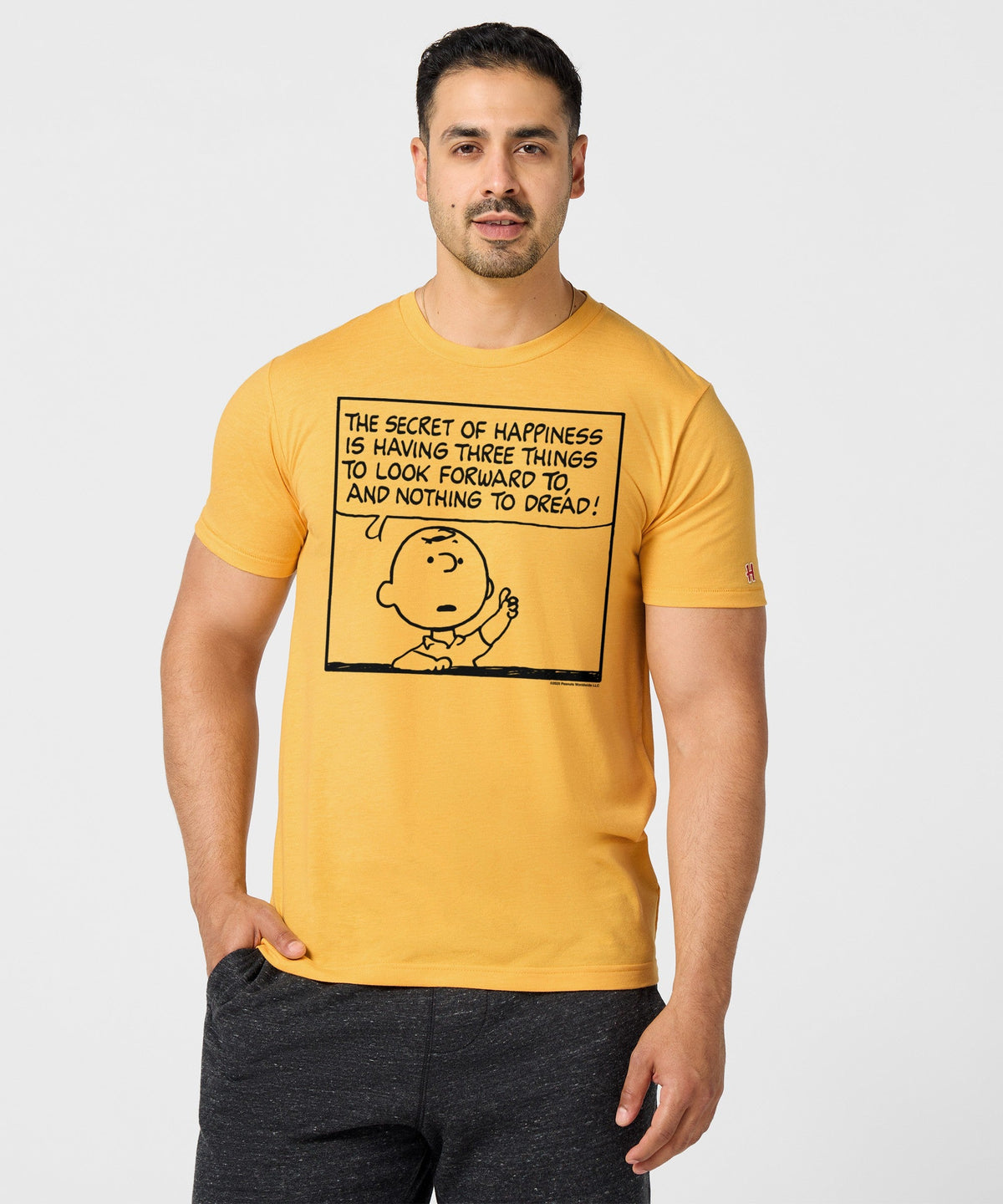 Peanuts Charlie Brown Secret Of Happiness product image 3