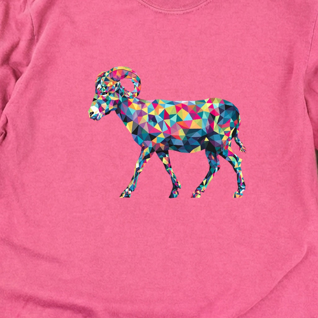 Ram Mosaic Cotton Long Sleeve product image 18