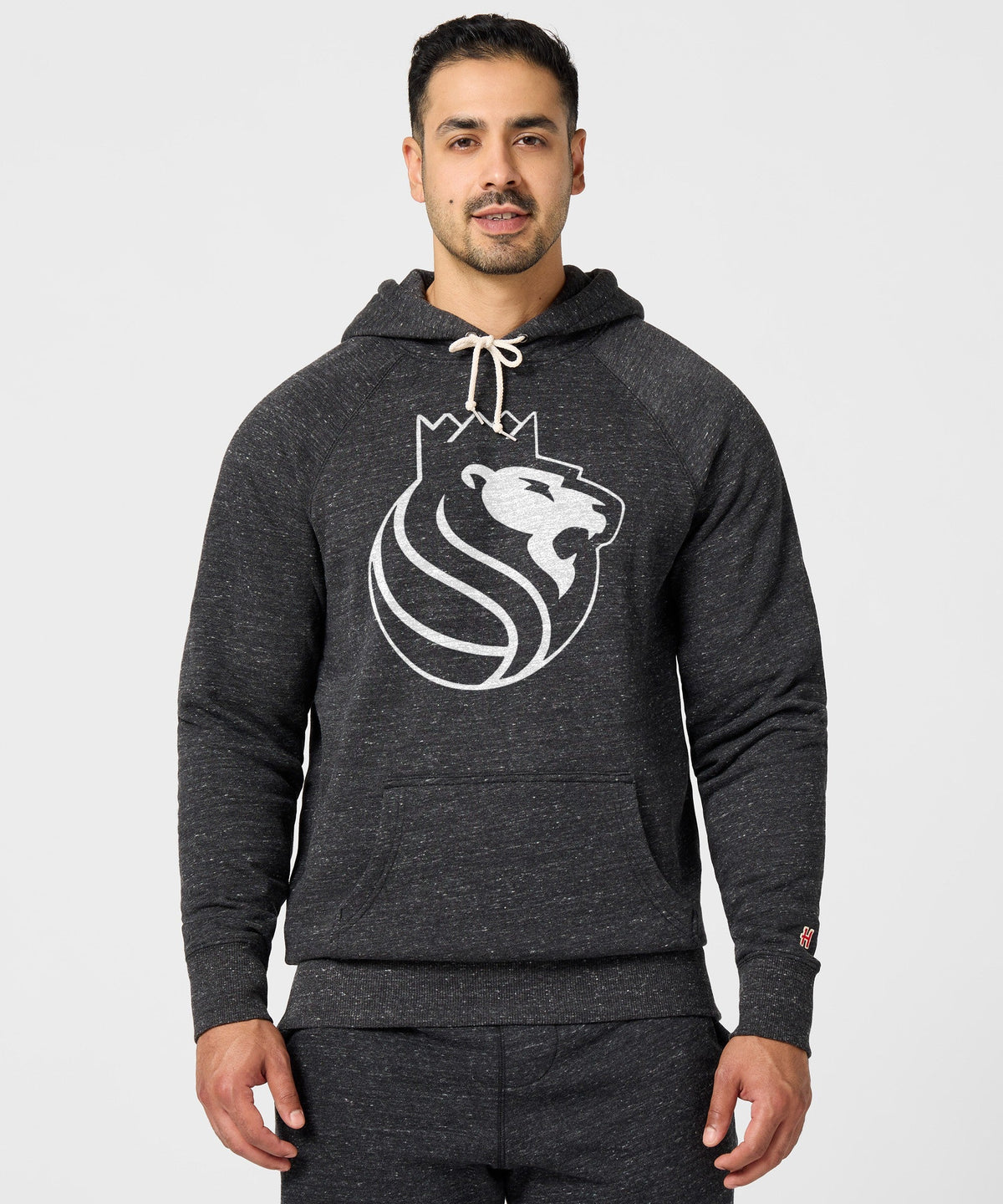 Sacramento Kings Blacktop Logo Hoodie product image 3