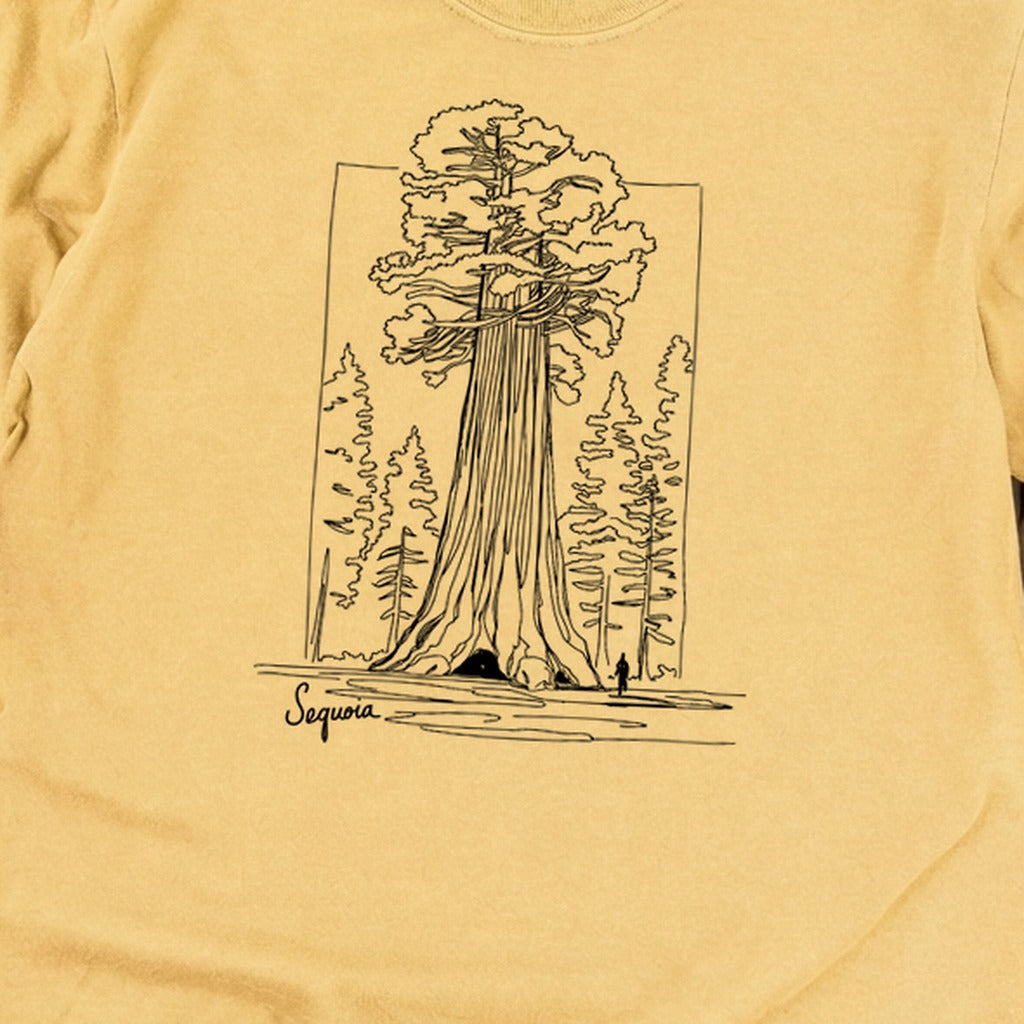 Sequoia Line Drawing Cotton Long Sleeve product image 12
