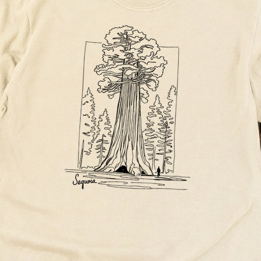Sequoia Line Drawing Cotton Long Sleeve product image 24