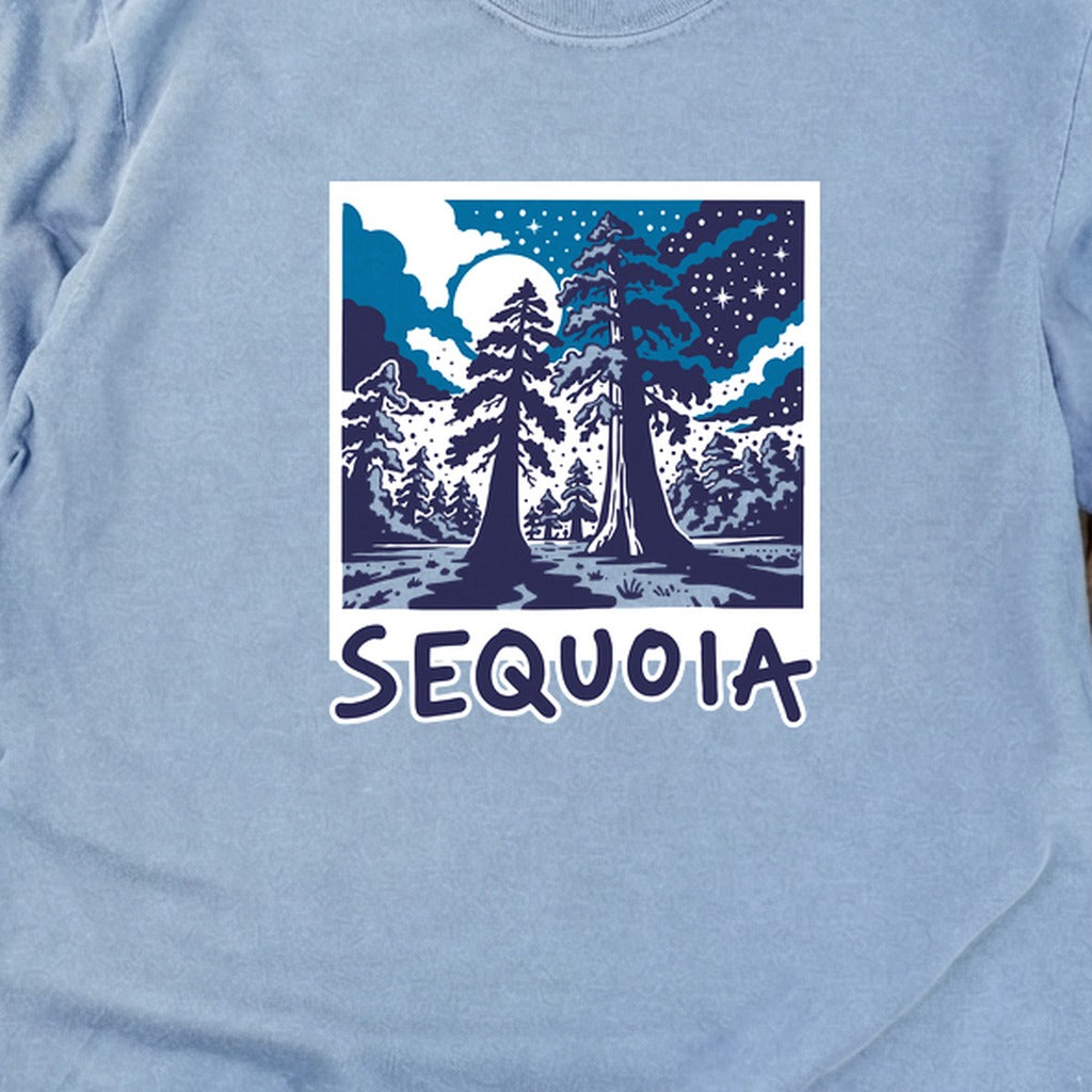 Sequoia at Night Cotton Long Sleeve product image 12