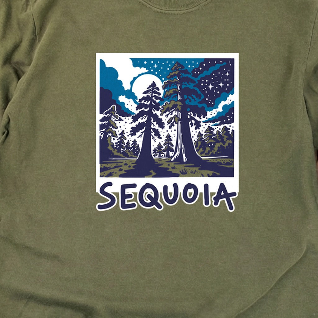 Sequoia at Night Cotton Long Sleeve product image 18