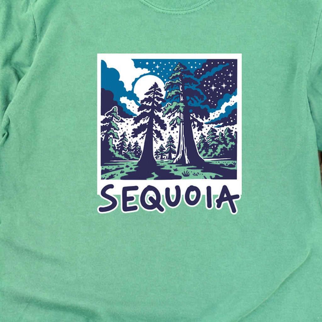 Sequoia at Night Cotton Long Sleeve product image 20