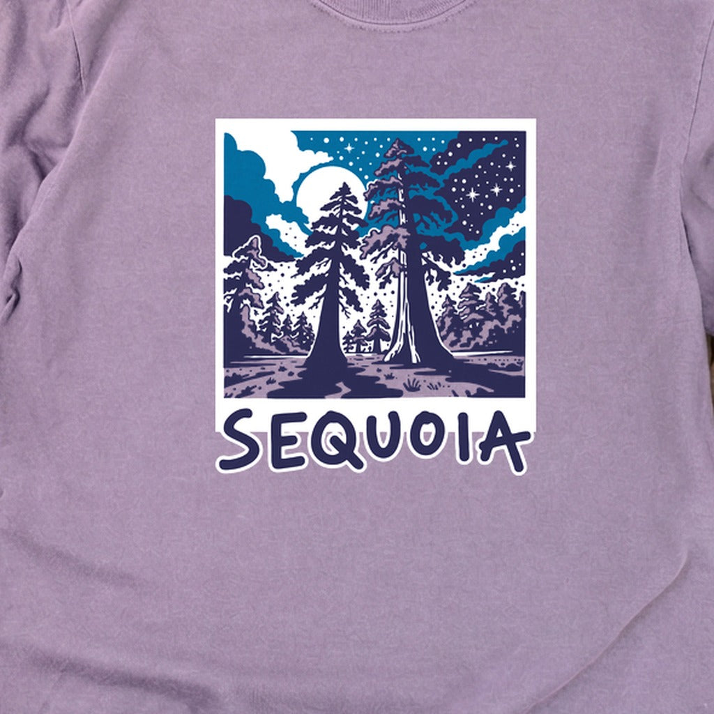 Sequoia at Night Cotton Long Sleeve product image 26