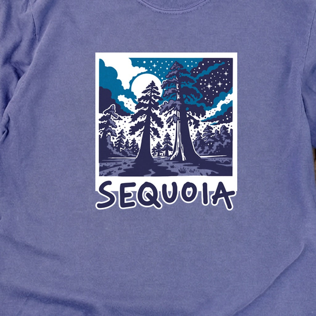 Sequoia at Night Cotton Long Sleeve product image 30