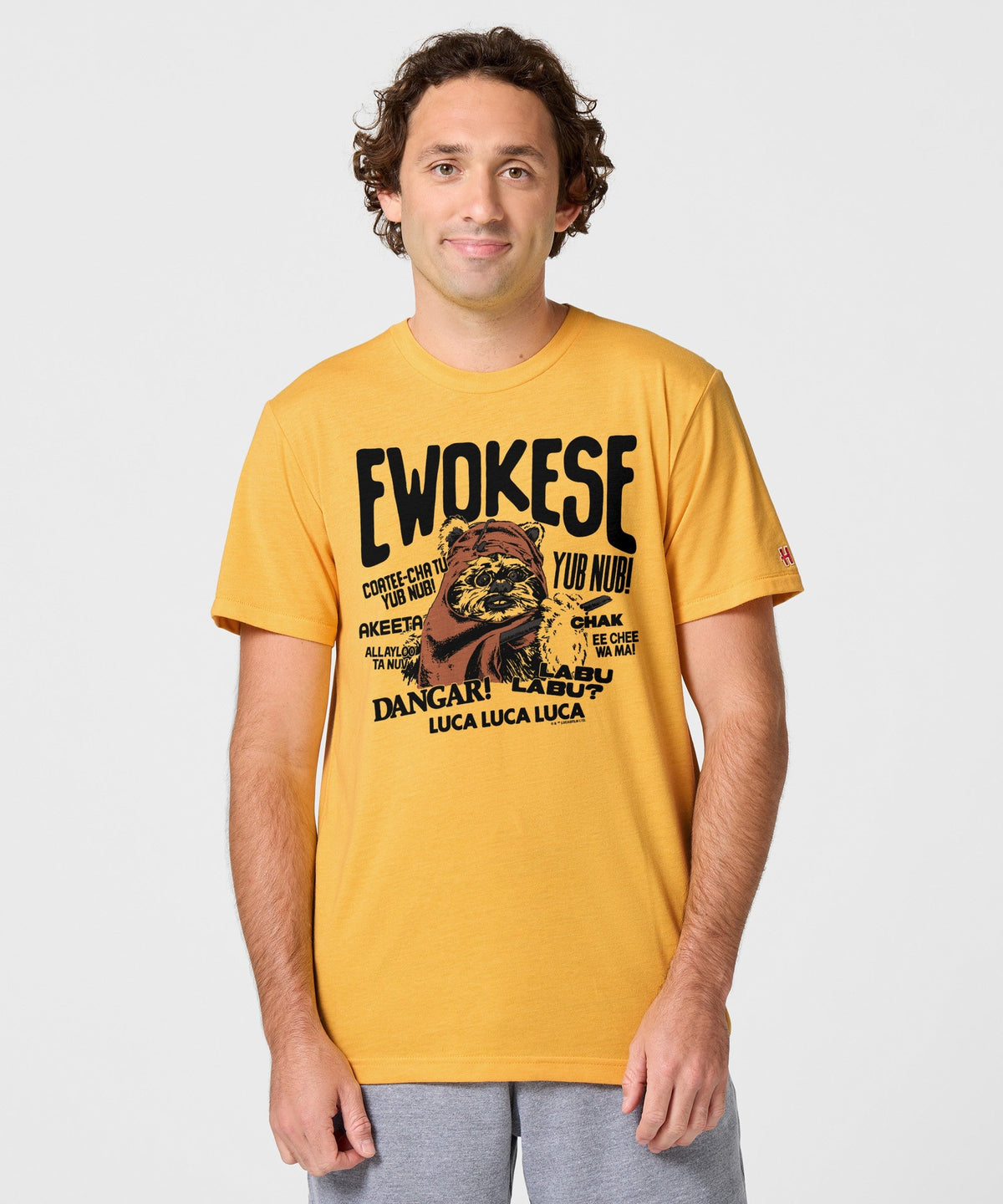 Star Wars Ewokese product image 3