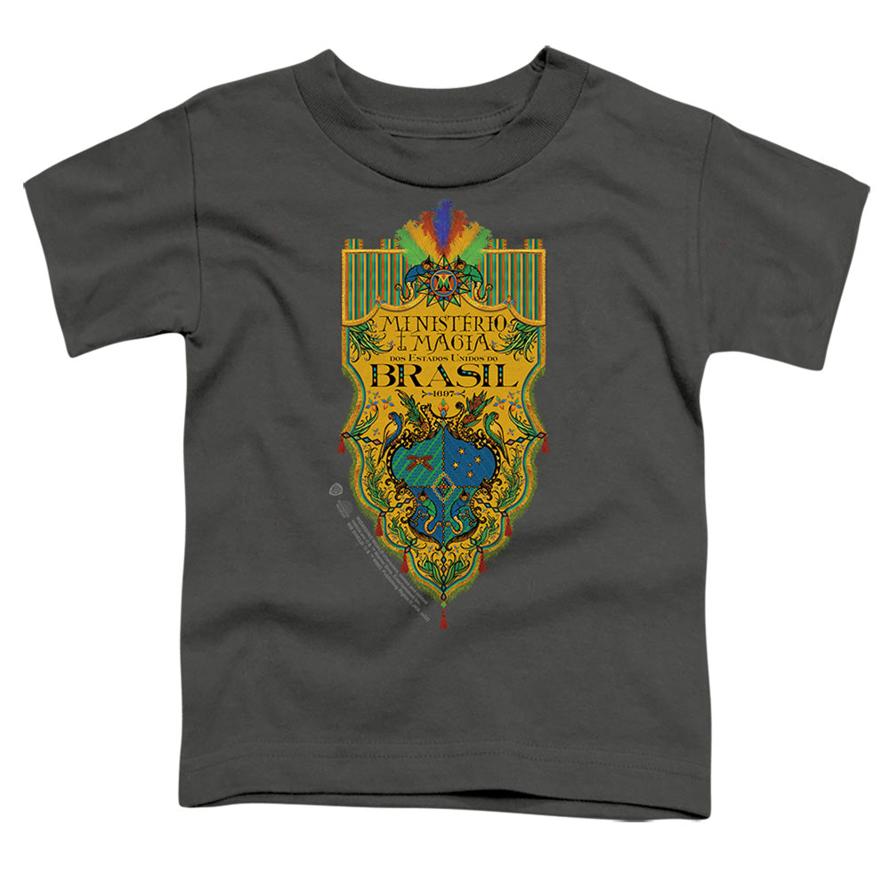 Fantastic Beasts The Secrets Of Dumbledore - Brazil product image 1