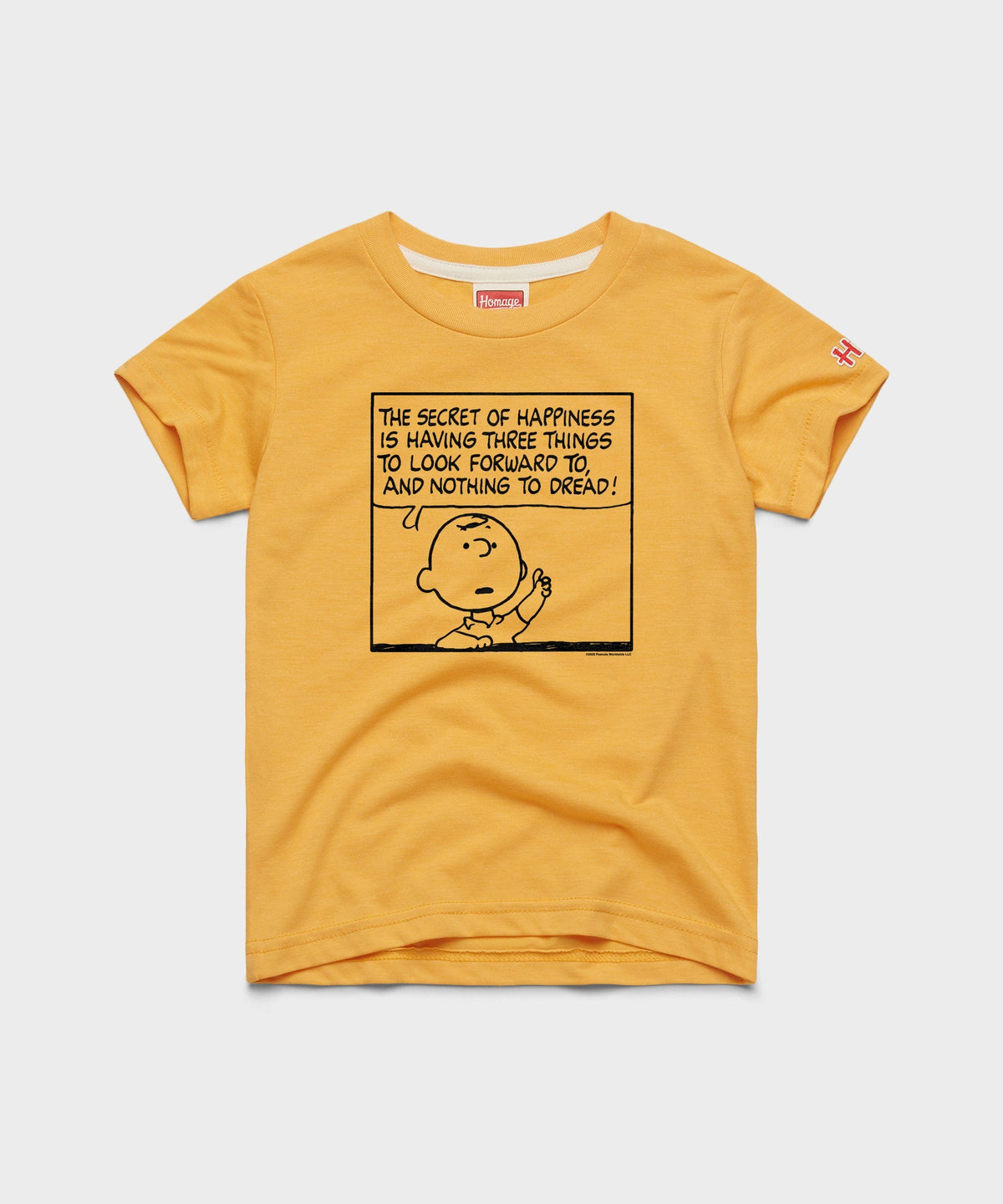 Youth Peanuts Charlie Brown Secret Of Happiness product image 1