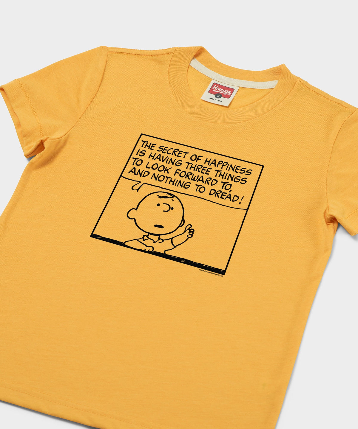 Youth Peanuts Charlie Brown Secret Of Happiness product image 2